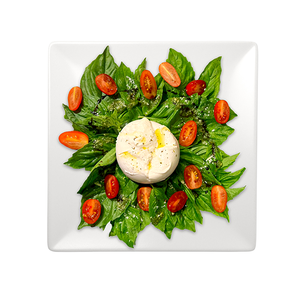 burrata salad